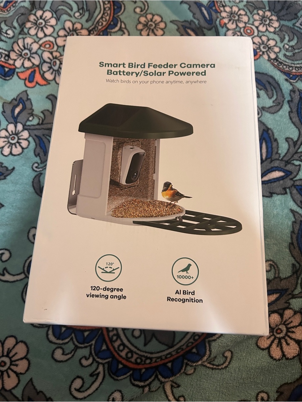 Smart Bird Feeder Camera - White with Dark Green Roof